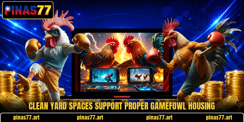 Clean yard spaces support proper gamefowl housing Clean yard spaces support proper gamefowl housing
