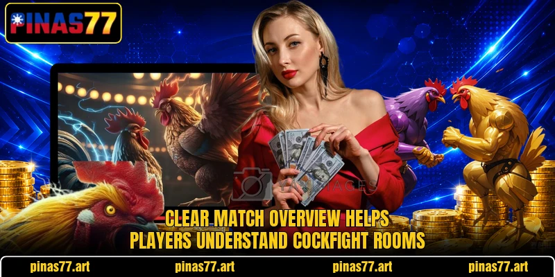 Clear match overview helps players understand cockfight rooms Clear match overview helps players understand cockfight rooms