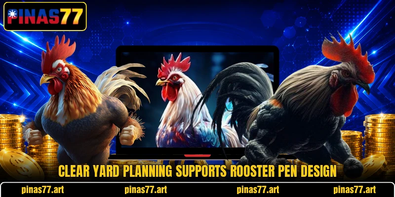 Clear yard planning supports rooster pen design Clear yard planning supports rooster pen design