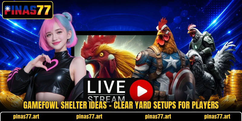 Gamefowl Shelter Ideas - Clear Yard Setups For Players Gamefowl Shelter Ideas - Clear Yard Setups For Players