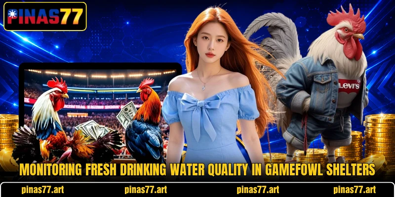 Monitoring fresh drinking water quality in gamefowl shelters Monitoring fresh drinking water quality in gamefowl shelters