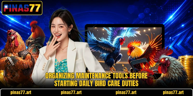 Organizing maintenance tools before starting daily bird care duties Organizing maintenance tools before starting daily bird care duties