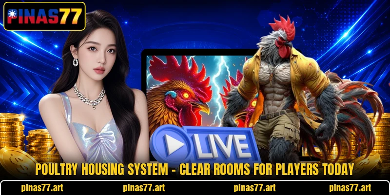 Poultry Housing System - Clear Rooms For Players Today Poultry Housing System - Clear Rooms For Players Today